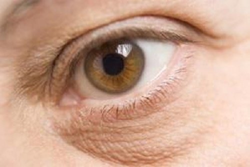 Auge in Großaufnahme