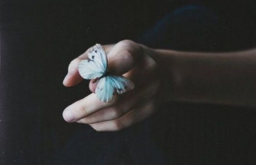schmetterling-loslassen