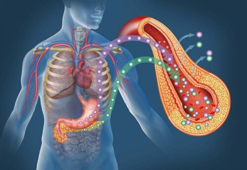 10 Anzeichen für Diabetes, die du niemals ignorieren solltest