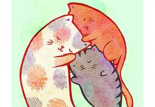 katzen-liebkosen-sich-hoeflichkeit