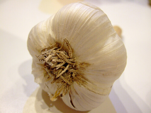 Knoblauch und Bluthochdruck