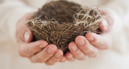 Das Empty-Nest-Syndrom: wenn Einsamkeit das Heim füllt