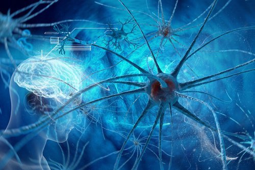 Neuropathischer Schmerz: wenn Nerven schmerzen