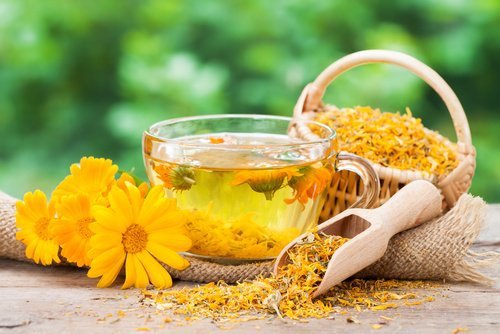 ringelblumen-und-tee-nagel