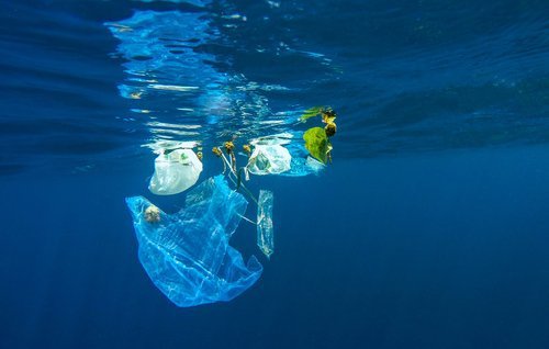 verschmutzes-meer-plastik