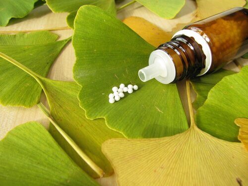 ginkgo-biloba-hat-antihistaminika