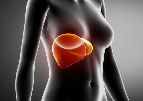 7 Tipps für die morgendliche Pflege der Leber