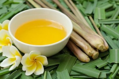 Mit Citronella gegen Mücken – und mehr!