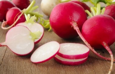 Radieschen: kugelrund und lecker! 4 Rezepte