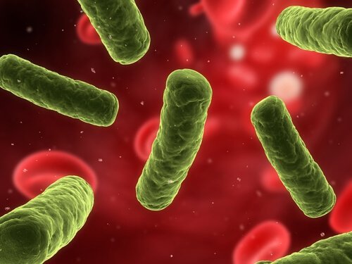 autoimmunkrankheiten-immunsystem-staerken
