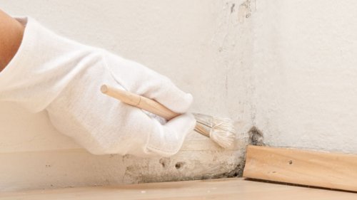feuchtigkeit-in-der-wohnung-entfernen