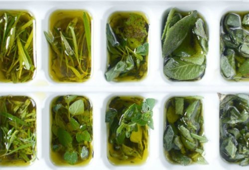 frische-kraeuter-mit-olivenoel