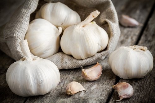 knoblauchzehe-und-knoblauchknolle