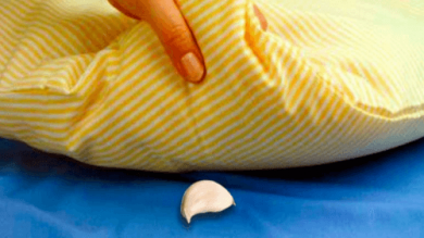 Knoblauchzehe unter dem Kissen