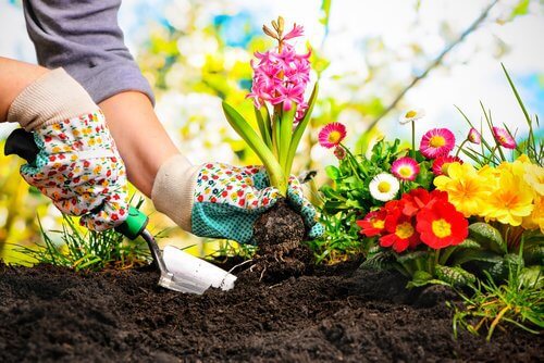 Garten bepflanzen