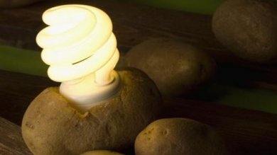 Licht aus der Kartoffelbatterie