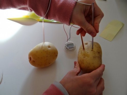 kartoffellicht