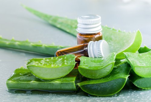 aloe-und-kokosoel-fuer-schoene-haare