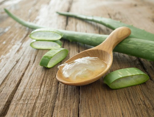 Aloe Vera gegen Verstopfung?