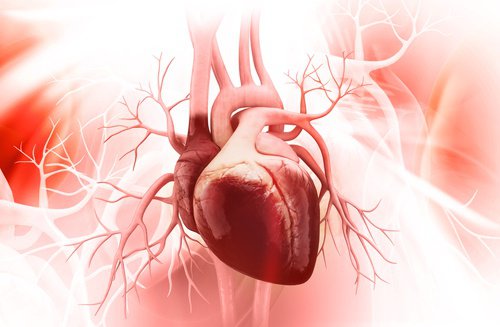 5 Schlüssel, um das Broken-Heart-Syndrom zu vermeiden