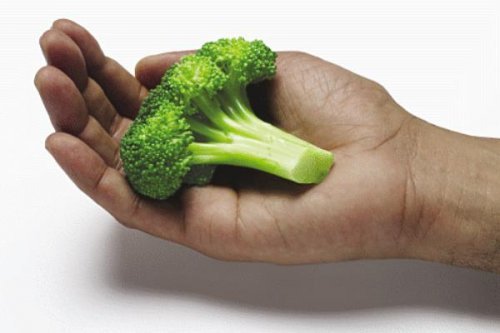 Brokkoli auf der Handfläche