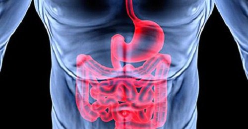 8-hinweise-fuer-eine-schlechte-funktionsweise-deines-verdauungssystems-die-deine-gesundheit-beeintraechtigt