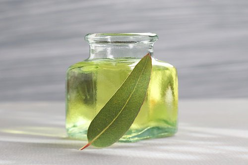 eukalyptus-gegen-allergische-rhinitis