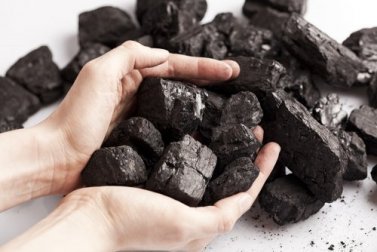 7 interessante Möglichkeiten, Kohle im Haushalt zu verwenden