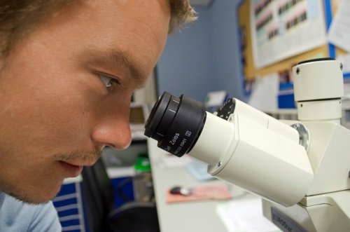 mann-untersucht-hiv-im-labor