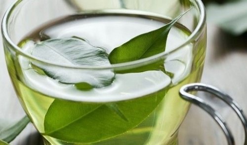 grüner-tee