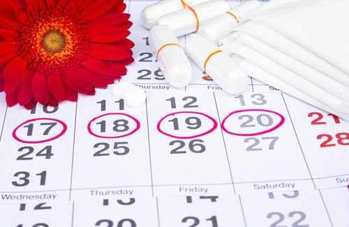 Menstruationszyklus
