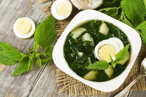 Brennesselsuppe