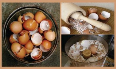 6 interessante Hausmittel mit Eierschalen