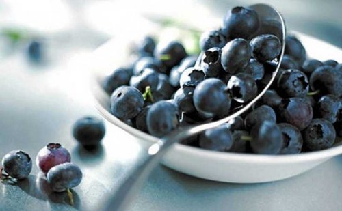 Heidelbeeren für Heidelbeer-Joghurt-Torte