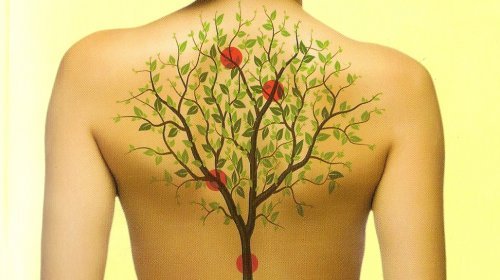 Beziehung zwischen Körperorganen und Emotionen
