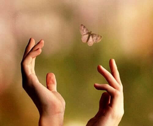 Hände versuchen Schmetterling zu fangen Angelegenheiten
