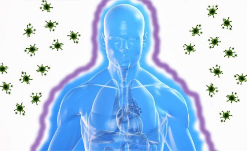 Geschwächtes Immunsystem vermeiden
