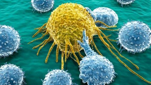 Molekül zur Behandlung von Eierstockkrebs und Bauchspeicheldrüsenkrebs