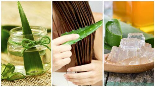 5 Anwendungen mit Aloe Vera für kräftiges Haar