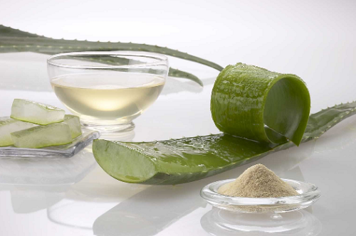 Aloe-Vera