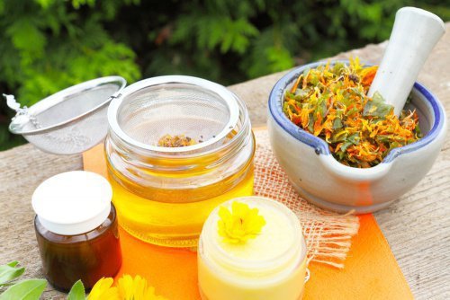 Arnikasalbe Selbst Herstellen Besser Gesund Leben