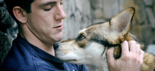 Unser Hund begleitet uns
