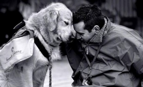 Therapie mit Hunden gegen Wehmut und Traurigkeit Therapie mit Hunden gegen Wehmut und Traurigkeit