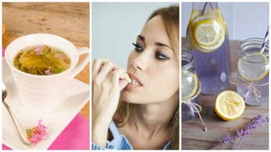 6 Naturheilmittel, die deine Nerven beruhigen