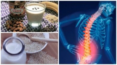 Die 6 besten Naturmittel die bei der Vorsorge gegen Osteoporose helfen könnten