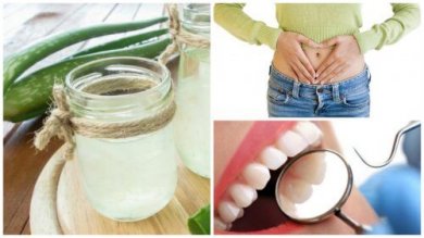 Argumente und Tipps für eine eigene Aloe Vera Pflanze