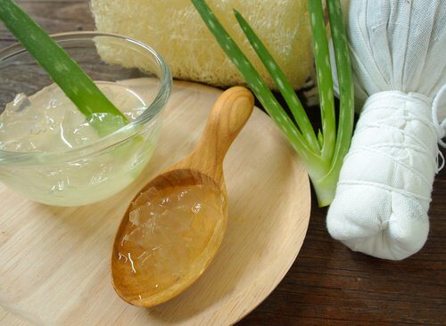 Aloe