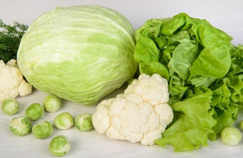 grünes blattgemüse für suppen