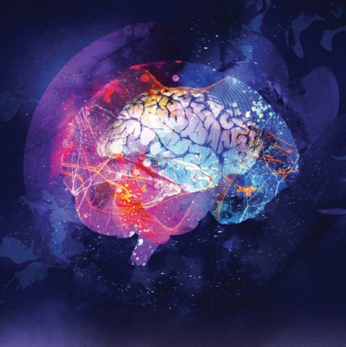 Neurogenese