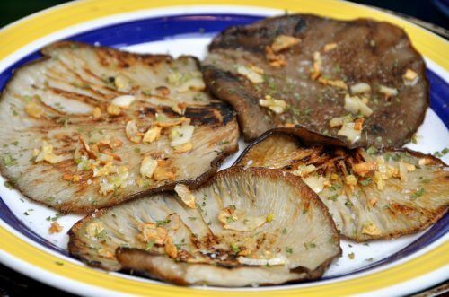 Leckere Rezeptideen mit Austernpilzen! Leckere Rezeptideen mit Austernpilzen!
